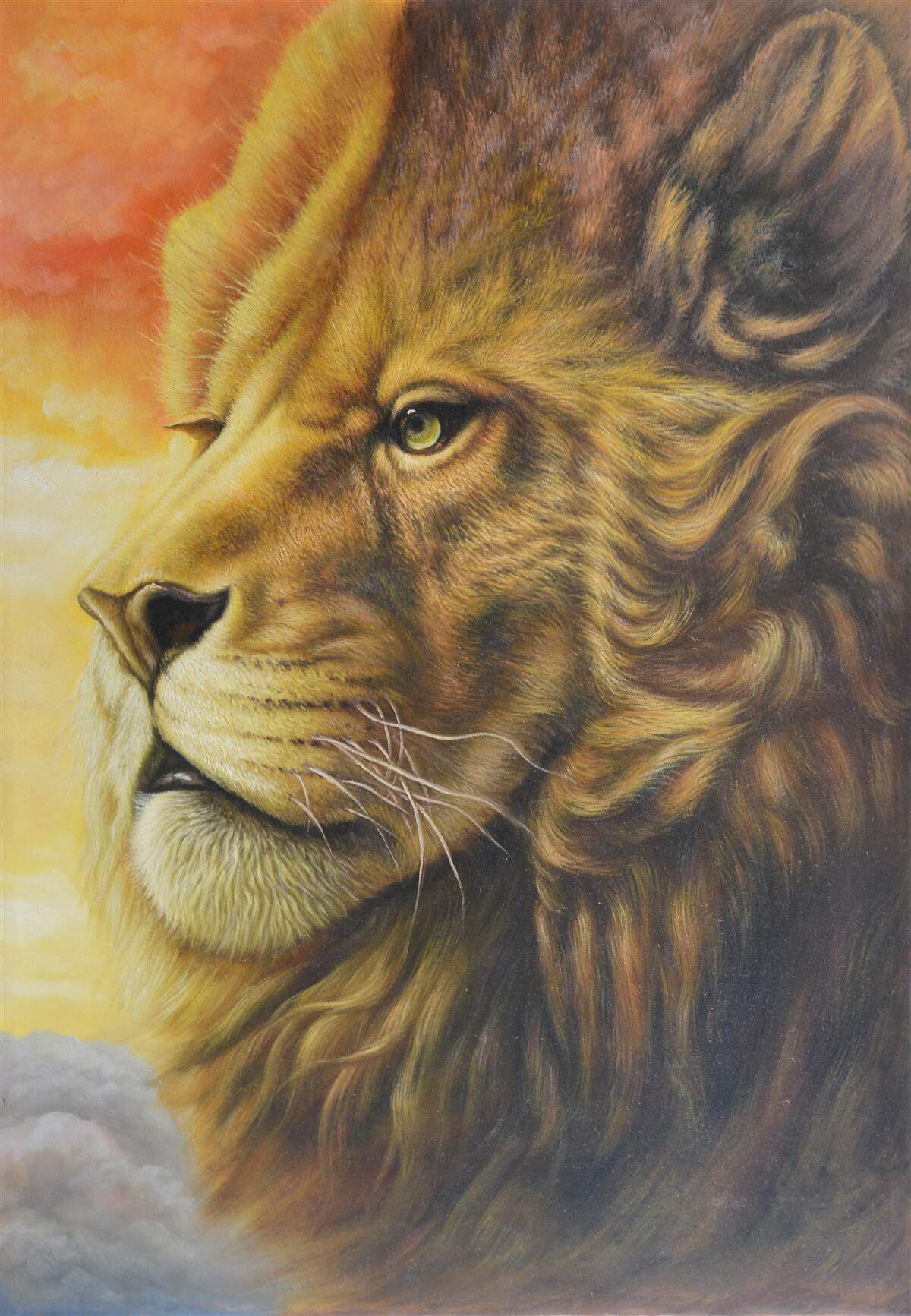 Fotobehang prachtig beeld van een leeuw