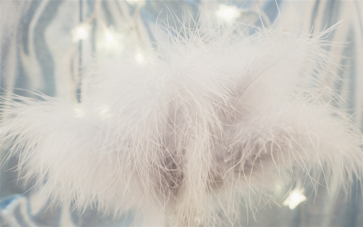 Fotobehang dicht lichtgewicht dons