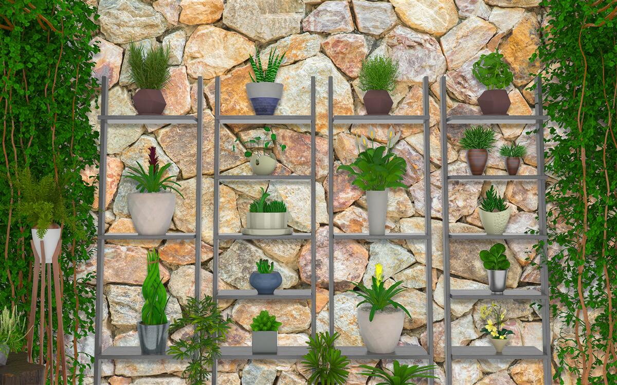 Fotobehang potplanten op een plank, groen geschilderd