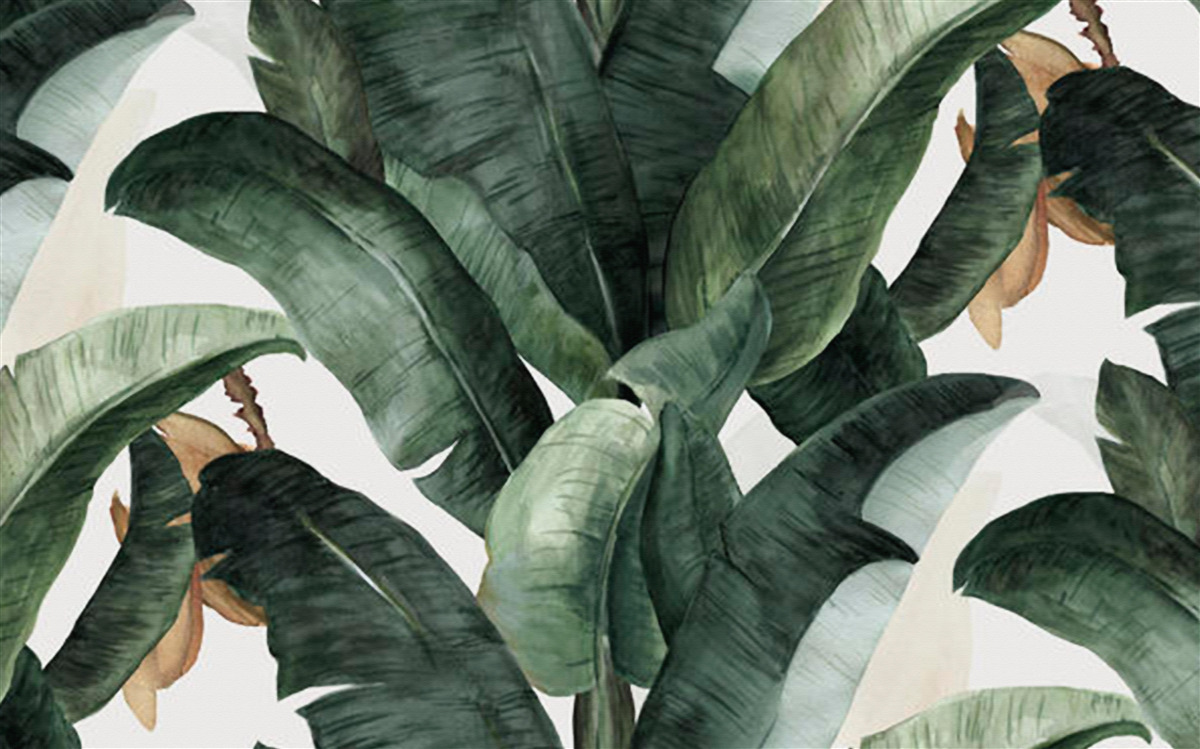 Fotobehang grote donkergroene bladeren uit tropische gebieden