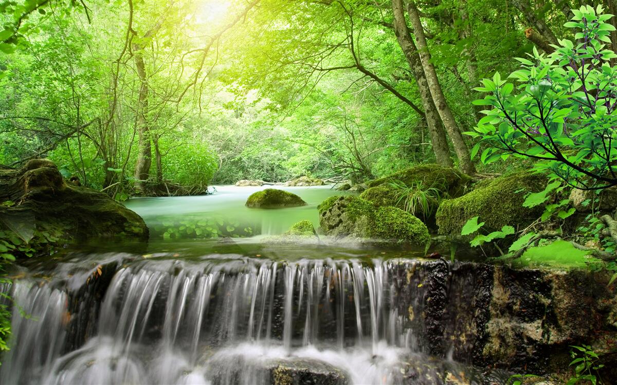 Fotobehang zonnestralen bereiken de waterval