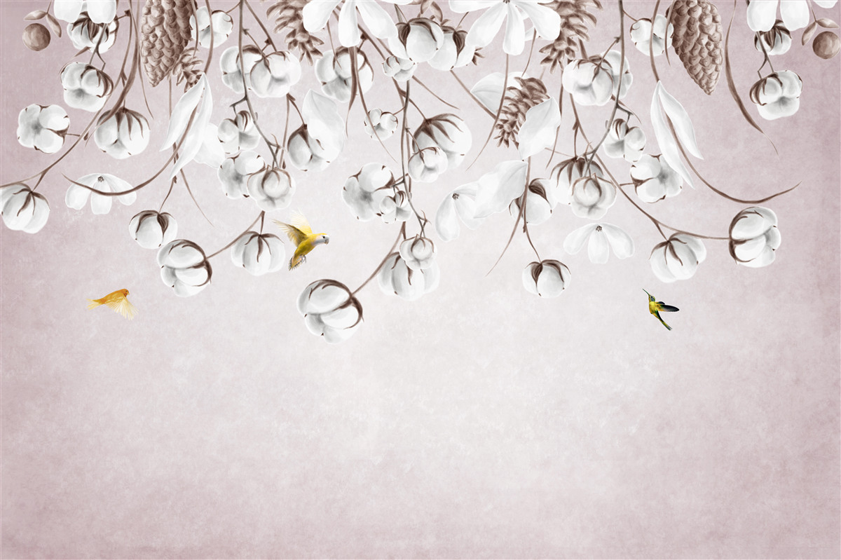 Fotobehang licht katoen op witte achtergrond