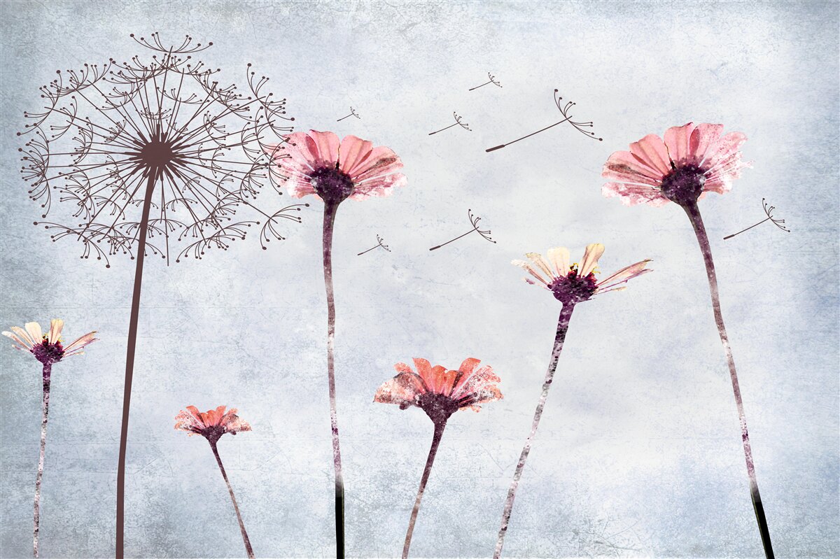 Fotobehang klaprozen en gerbera's onder sterke windvlagen