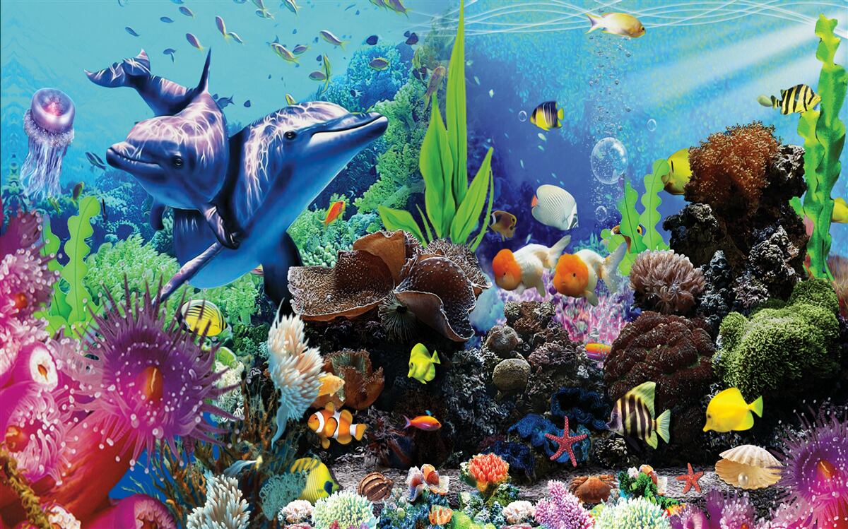 Fotobehang de onderwaterwereld tot in detail