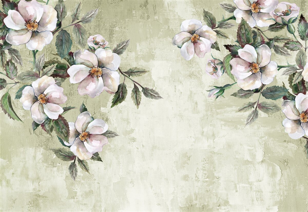 Fotobehang de spreidende takken van de sneeuwwitte magnolia