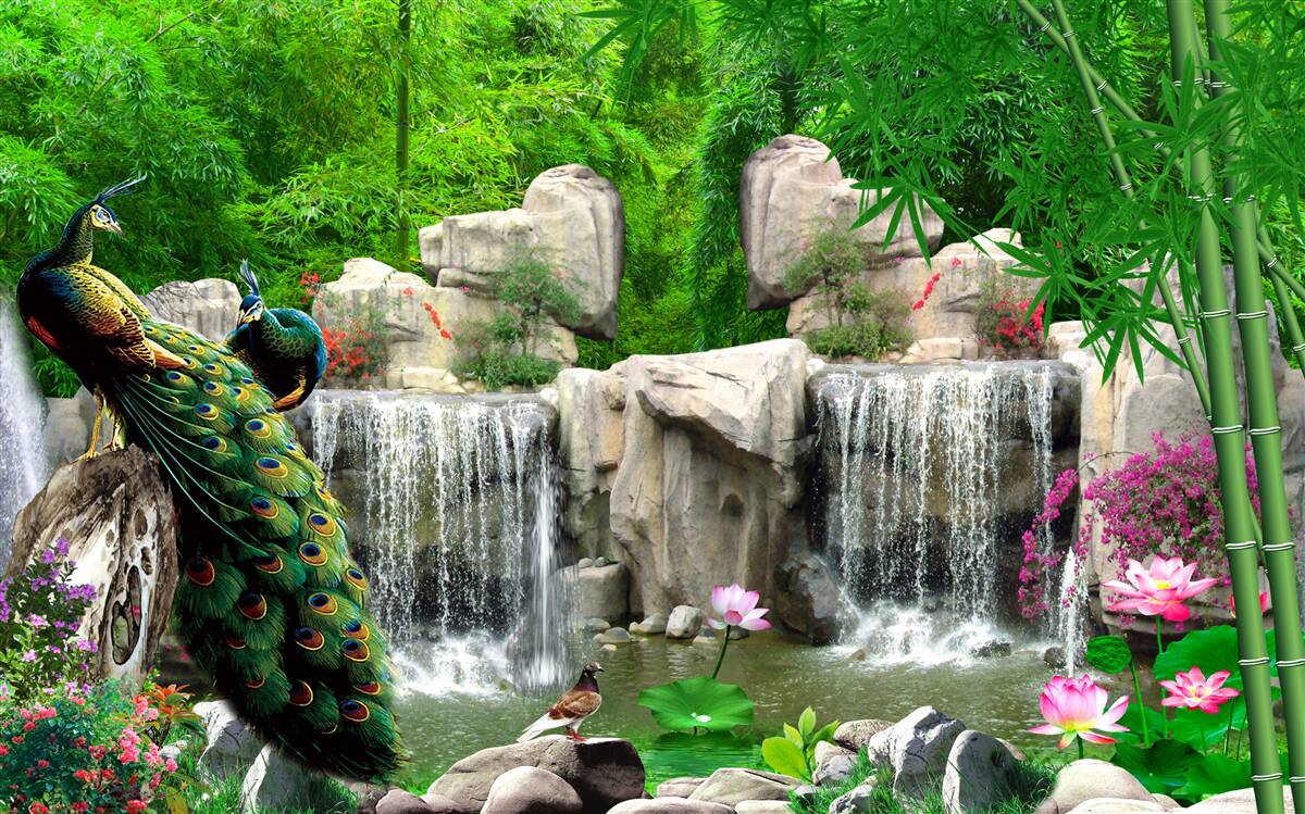 Fotobehang stille vijvers in een weelderig groen bos