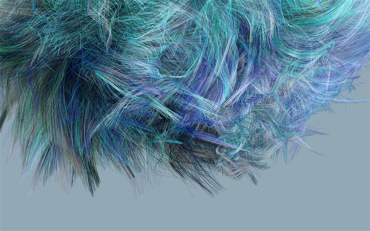 Fotobehang ongewoon boeket van veelkleurige veren