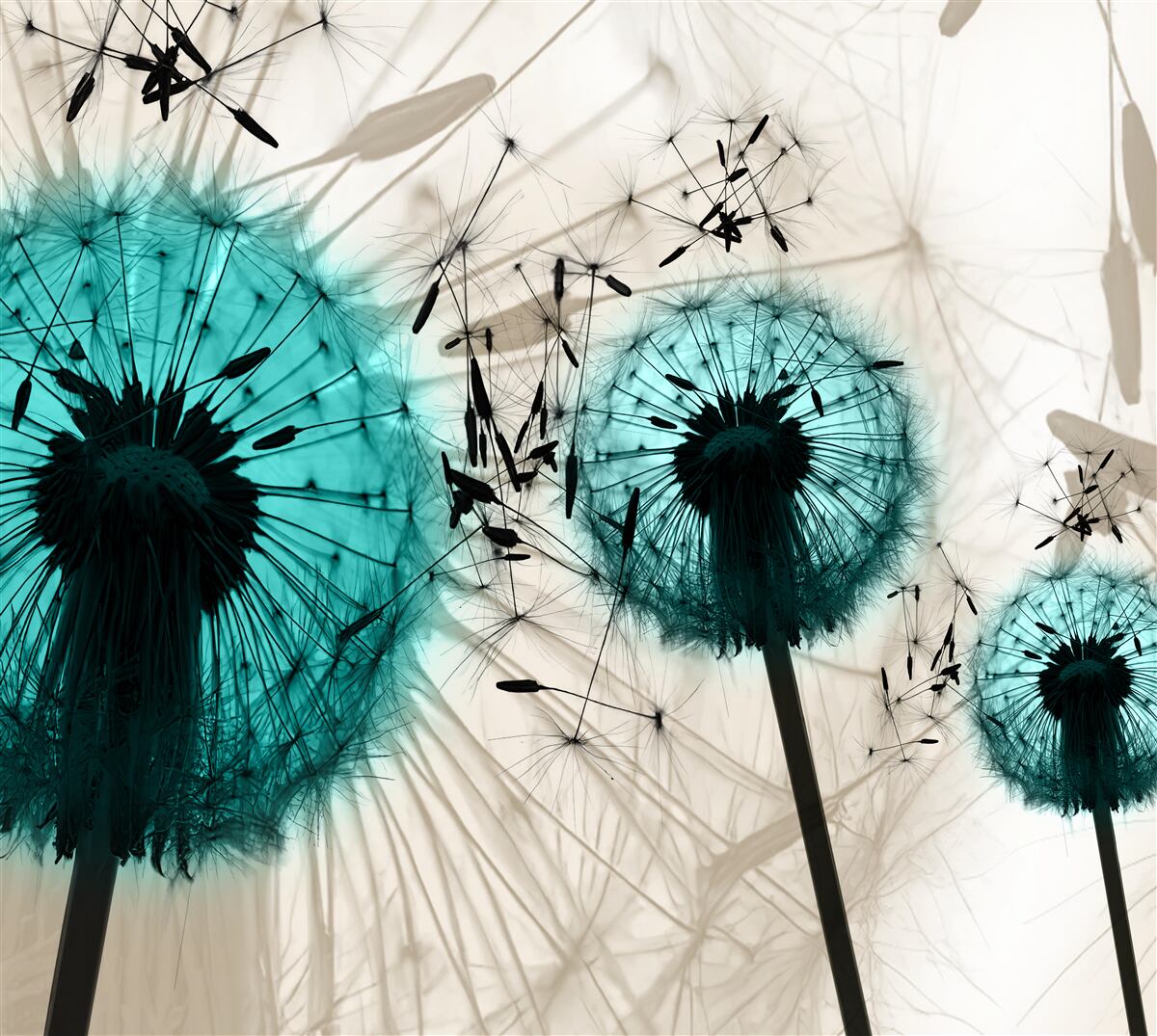 Fotobehang close-ups van paardenbloemen