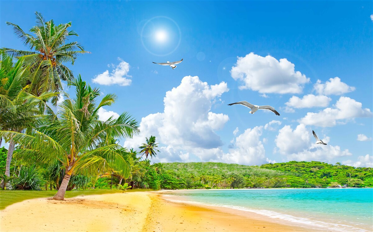 Fotobehang de zee en het strand zijn prachtig