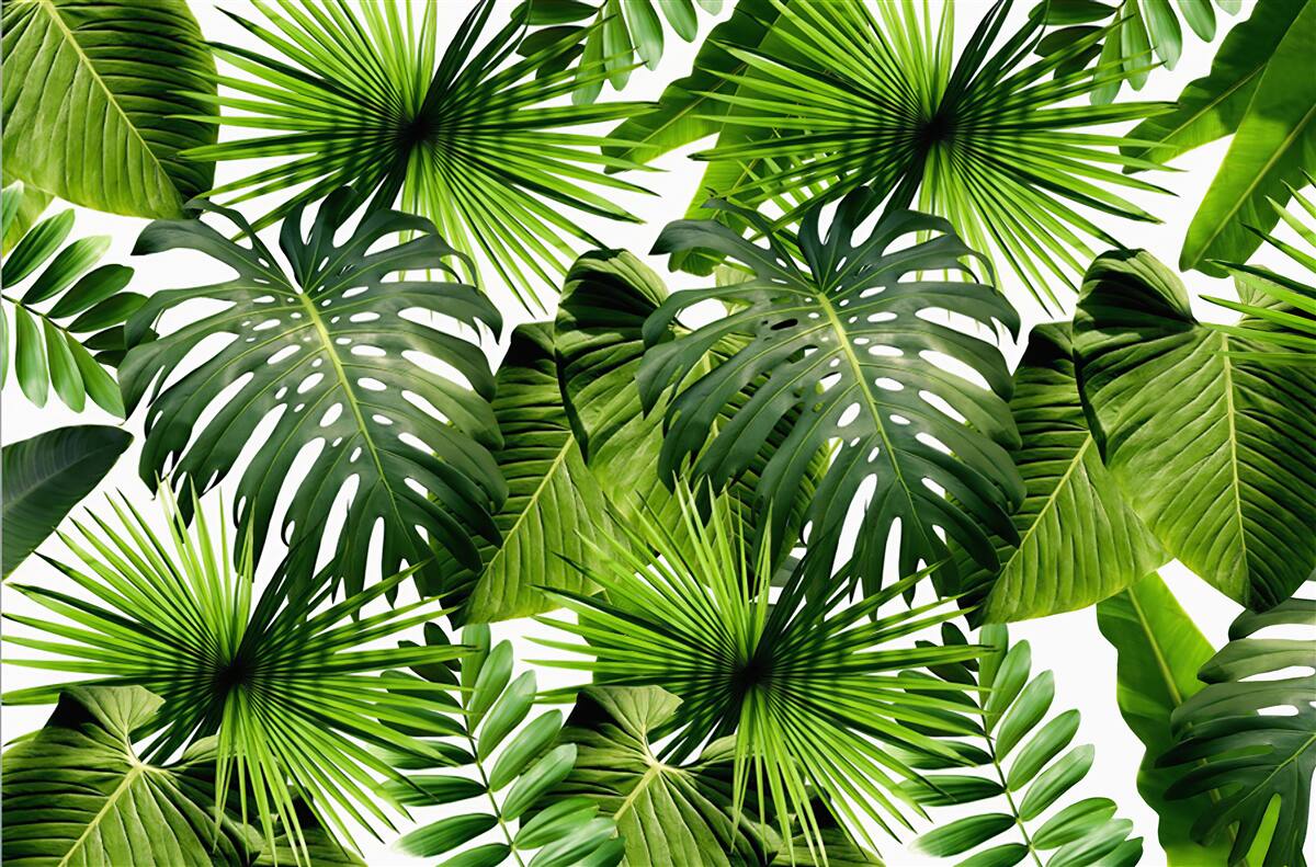 Fotobehang Muur, groen blad