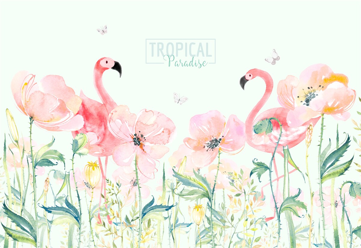 Fotobehang De flamingo is een vogelsoort die kan zwemmen