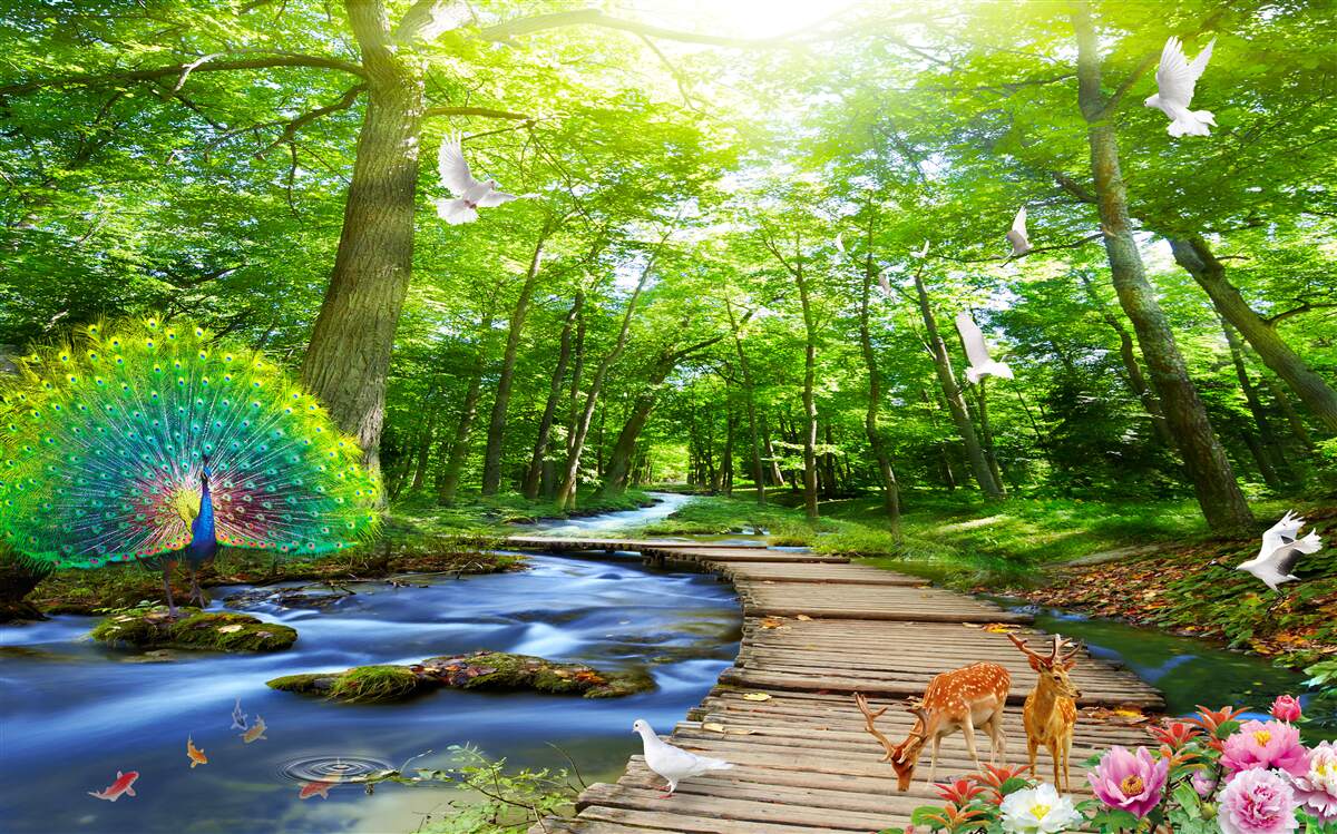 Fotobehang boswezens