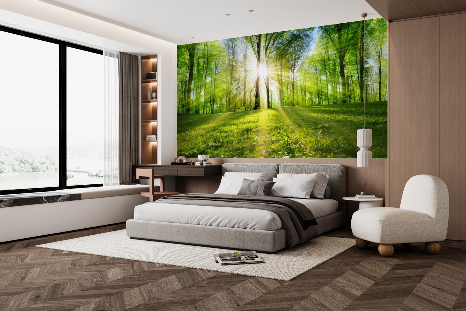 Fotobehang de zonnestralen dringen door de bomen