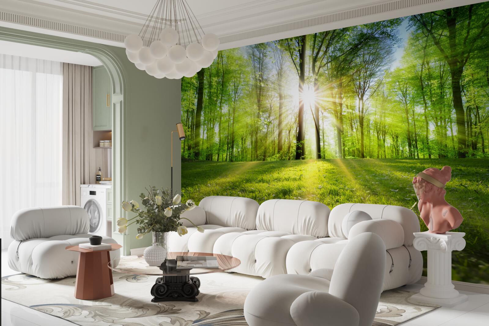 Fotobehang de zonnestralen dringen door de bomen