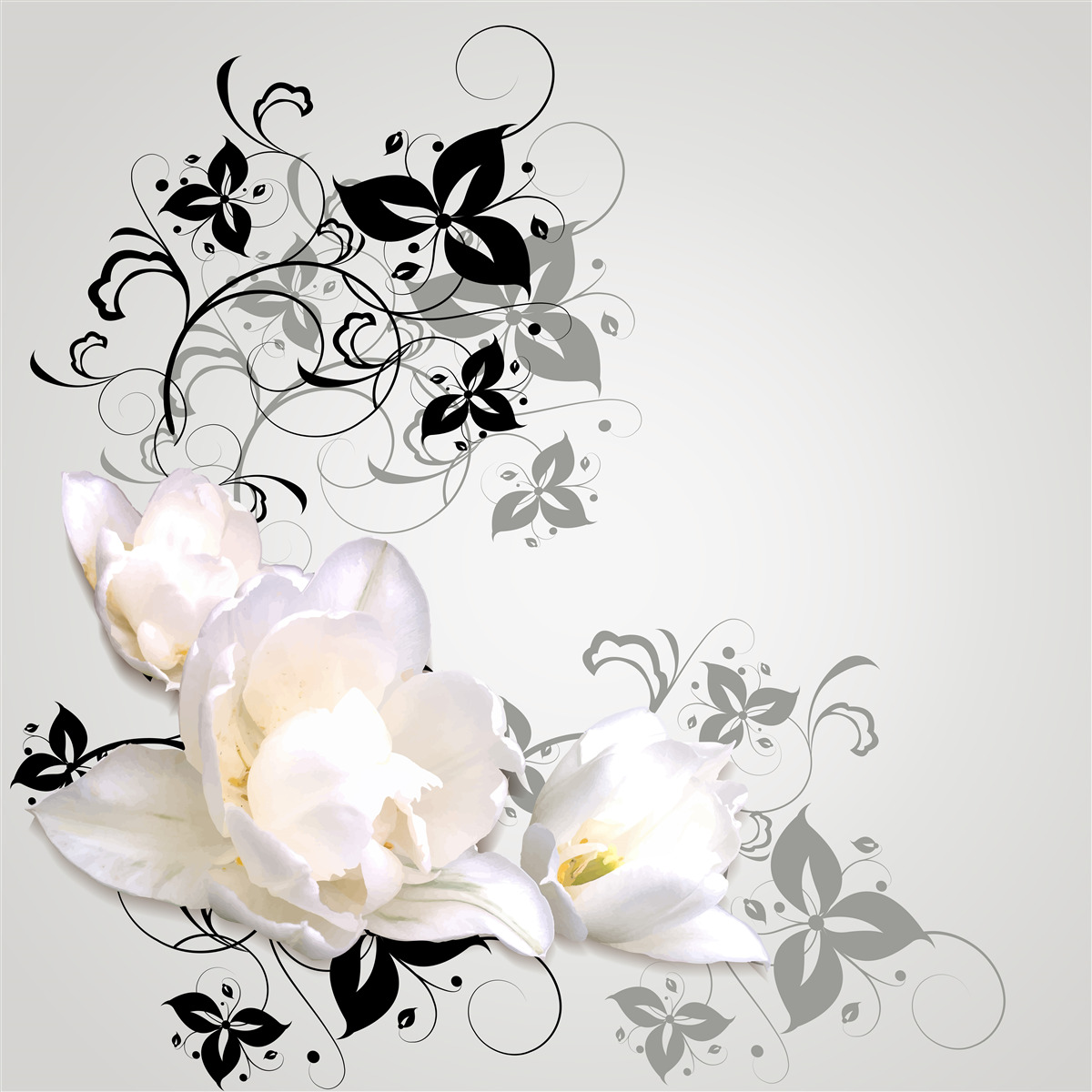 Fotobehang een waterlelie met donkere bladeren tegen een grijze achtergrond