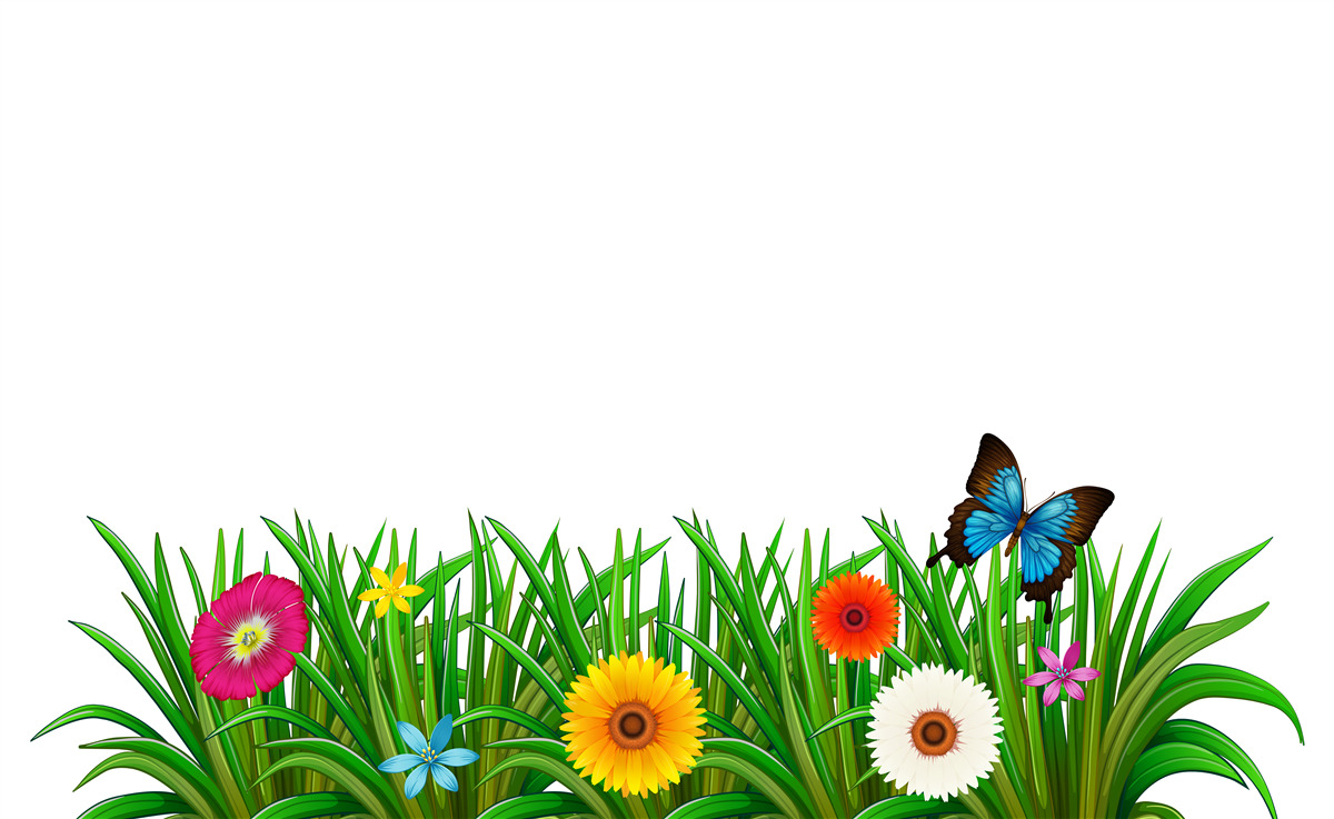 Fotobehang vlinder zit op het gras met gerbera's