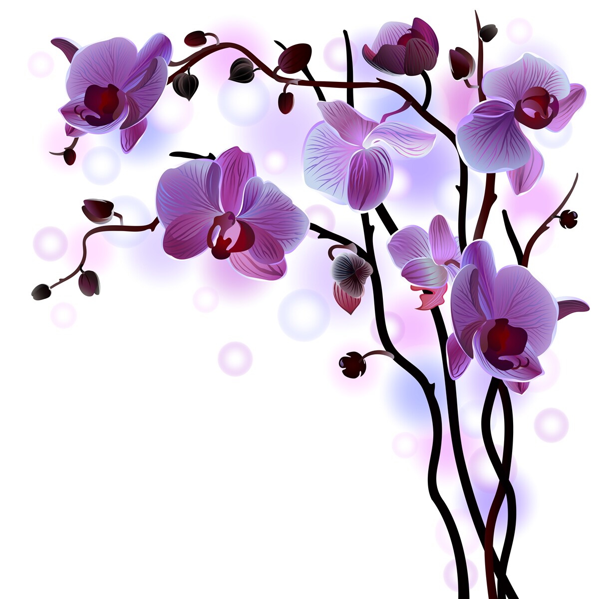 Fotobehang paarse orchidee takken