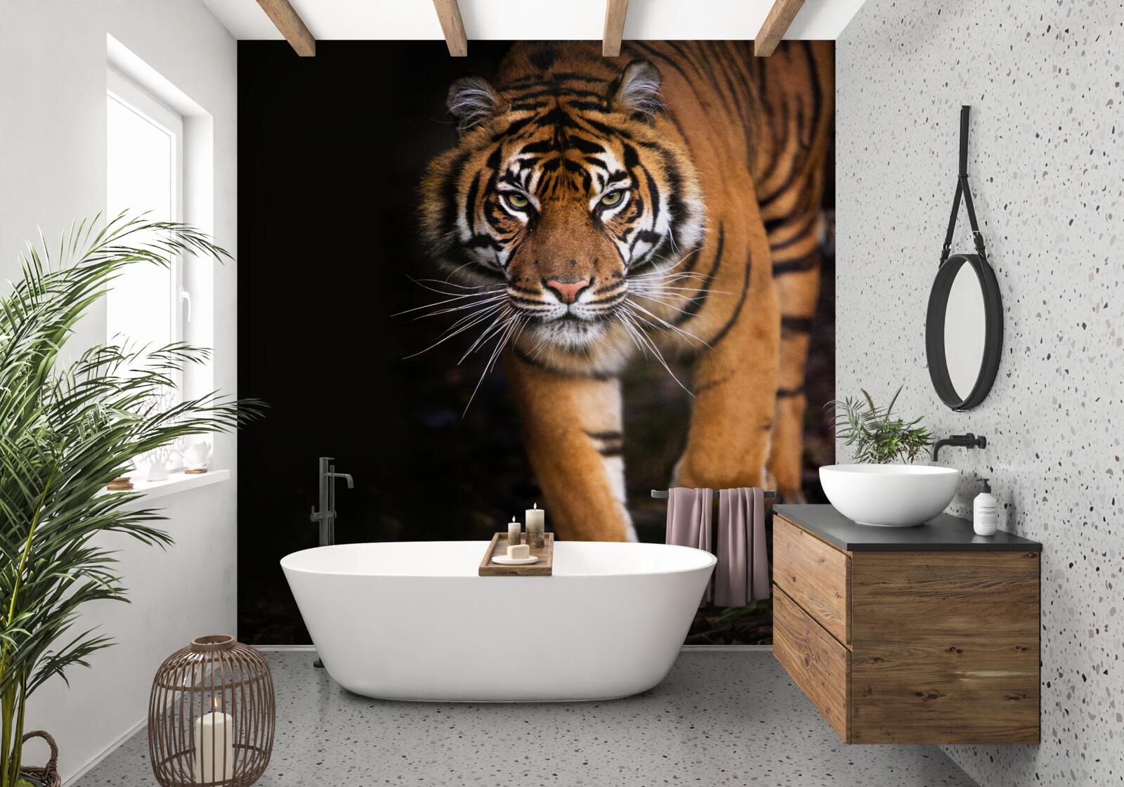 Fotobehang tijger beweegt onopgemerkt