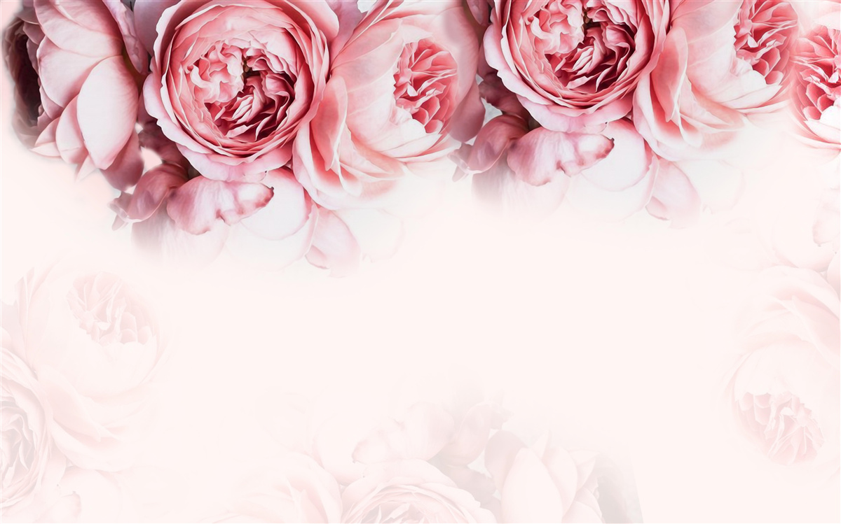 Fotobehang pioenrozen in roze en wit op een lichte achtergrond