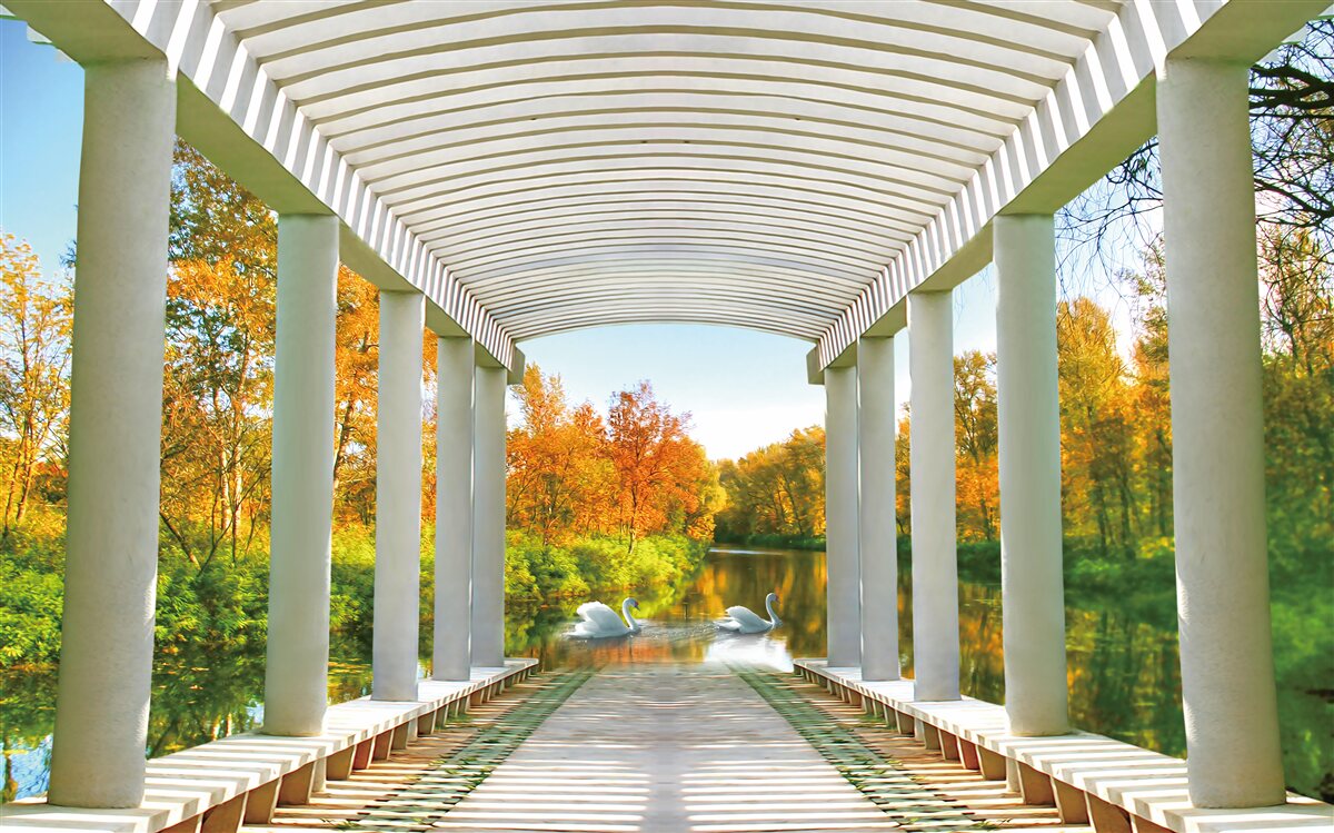 Fotobehang bos in herfstdecoratie op panoramische achtergrond