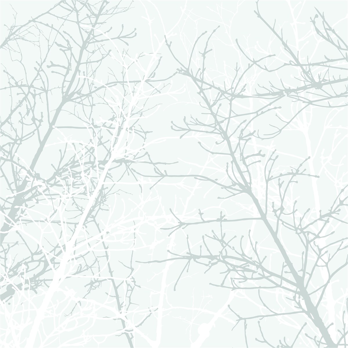 Fotobehang dunne boomtakken in de herfst