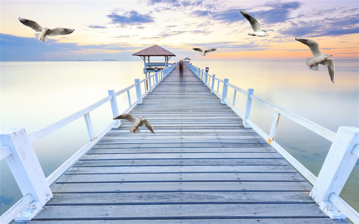 Fotobehang houten pier en passerende meeuwen
