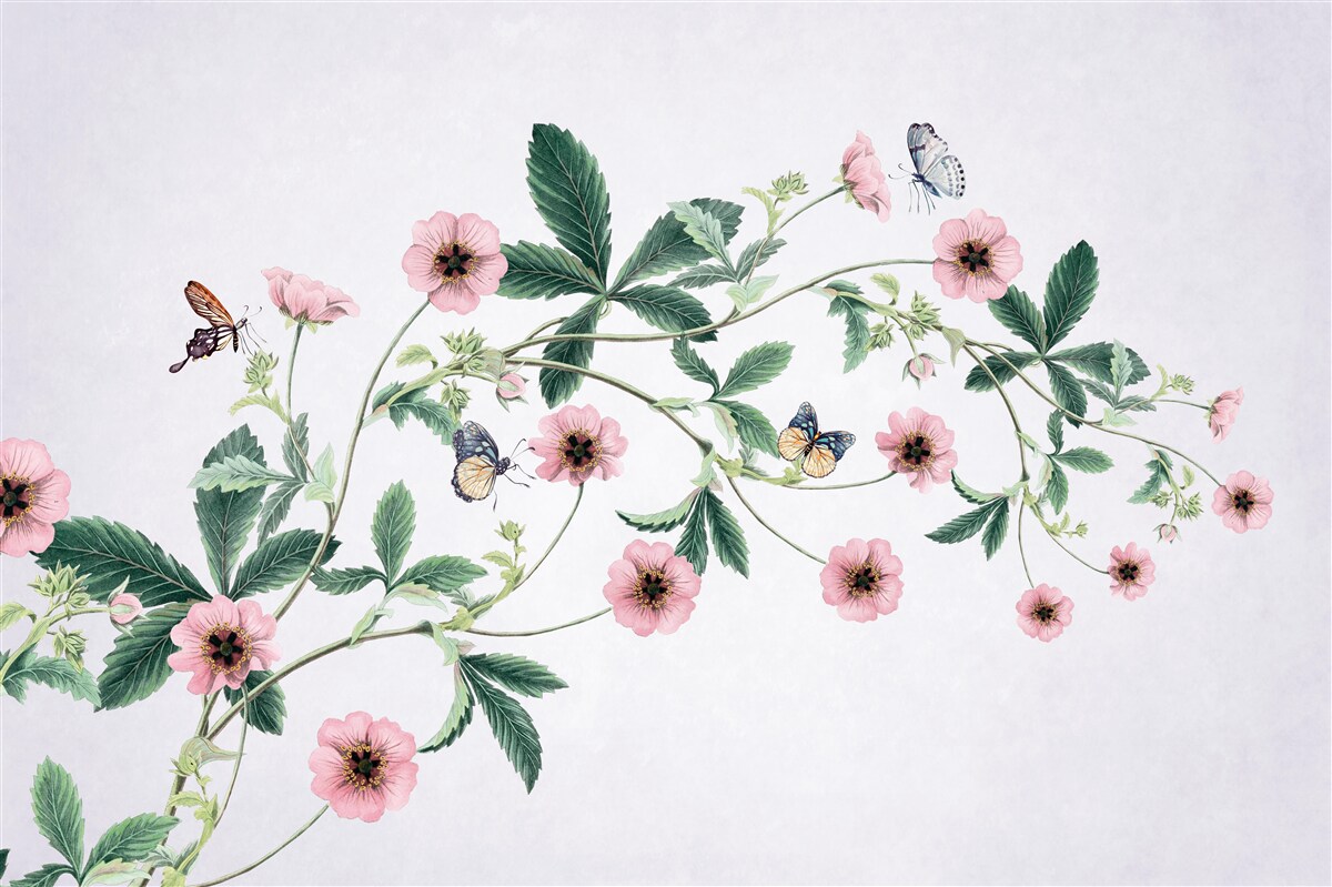 Fotobehang roze knoppen op takken op grijze achtergrond