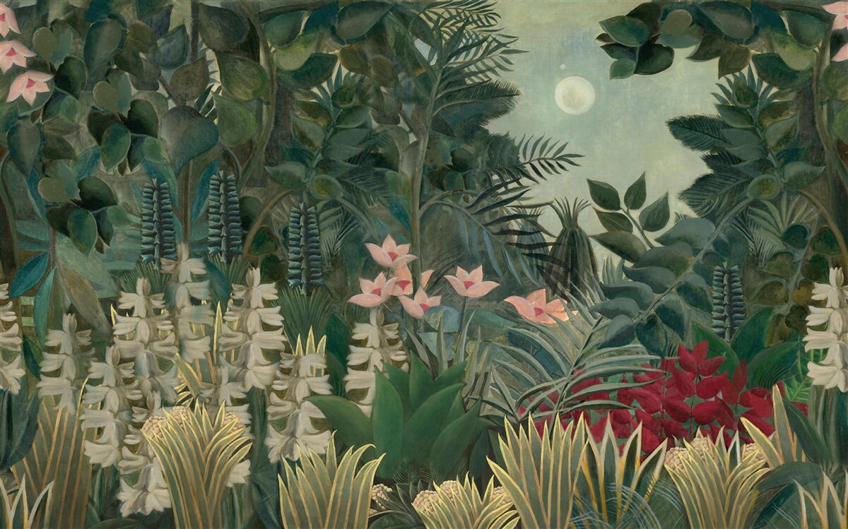 Fotobehang de maan schijnt in de nachtelijke hemel boven het groene regenwoud