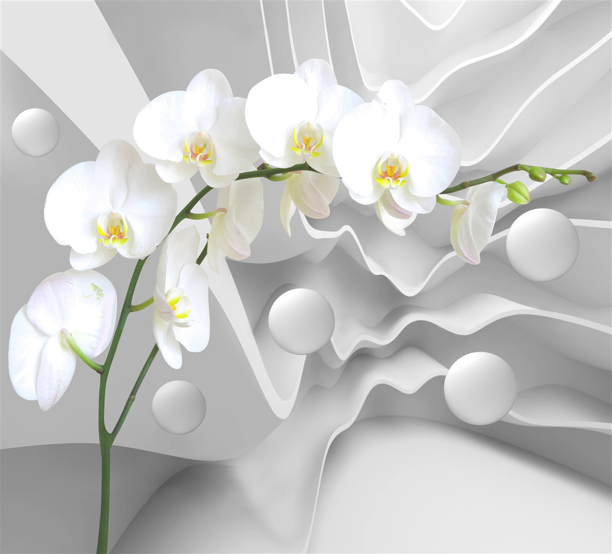 Fotobehang abstractie van een sierlijke witte orchidee