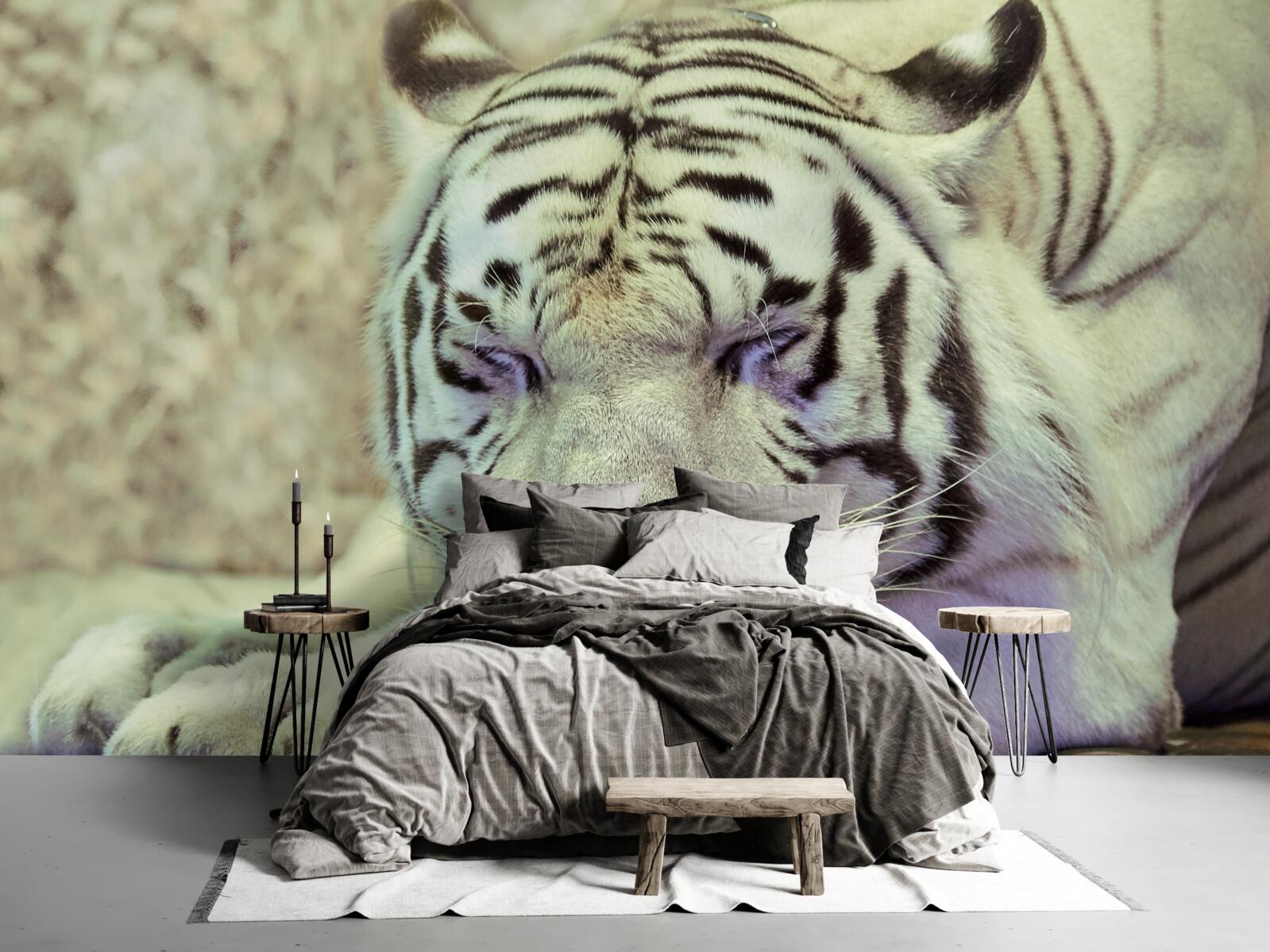 Fotobehang witte tijger in droomtoestand