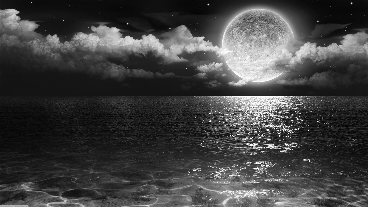 Fotobehang kalme kust bij nacht