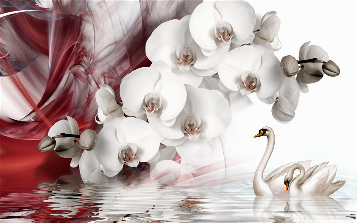 Fotobehang orchideeën met witte knoppen bij een vijver met zwanen