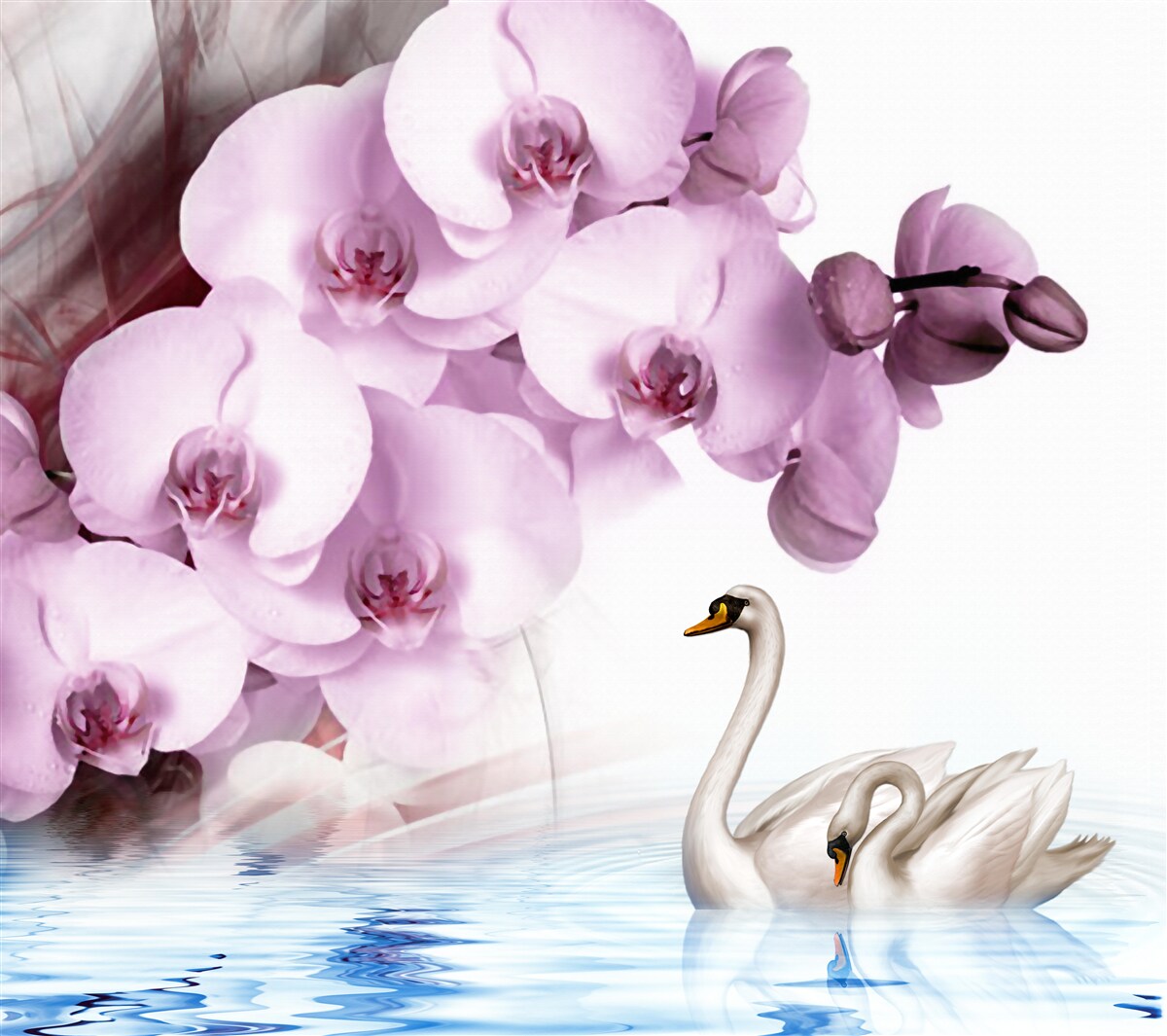 Fotobehang zwanen op het wateroppervlak en een delicate lila orchidee bloem