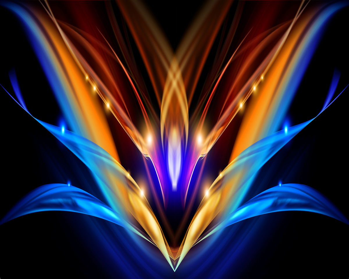 Fotobehang lotus in het donker in een abstracte stijl