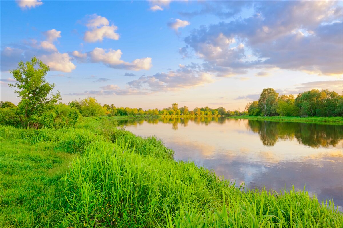 Fotobehang kalme rivier naast een groene weide
