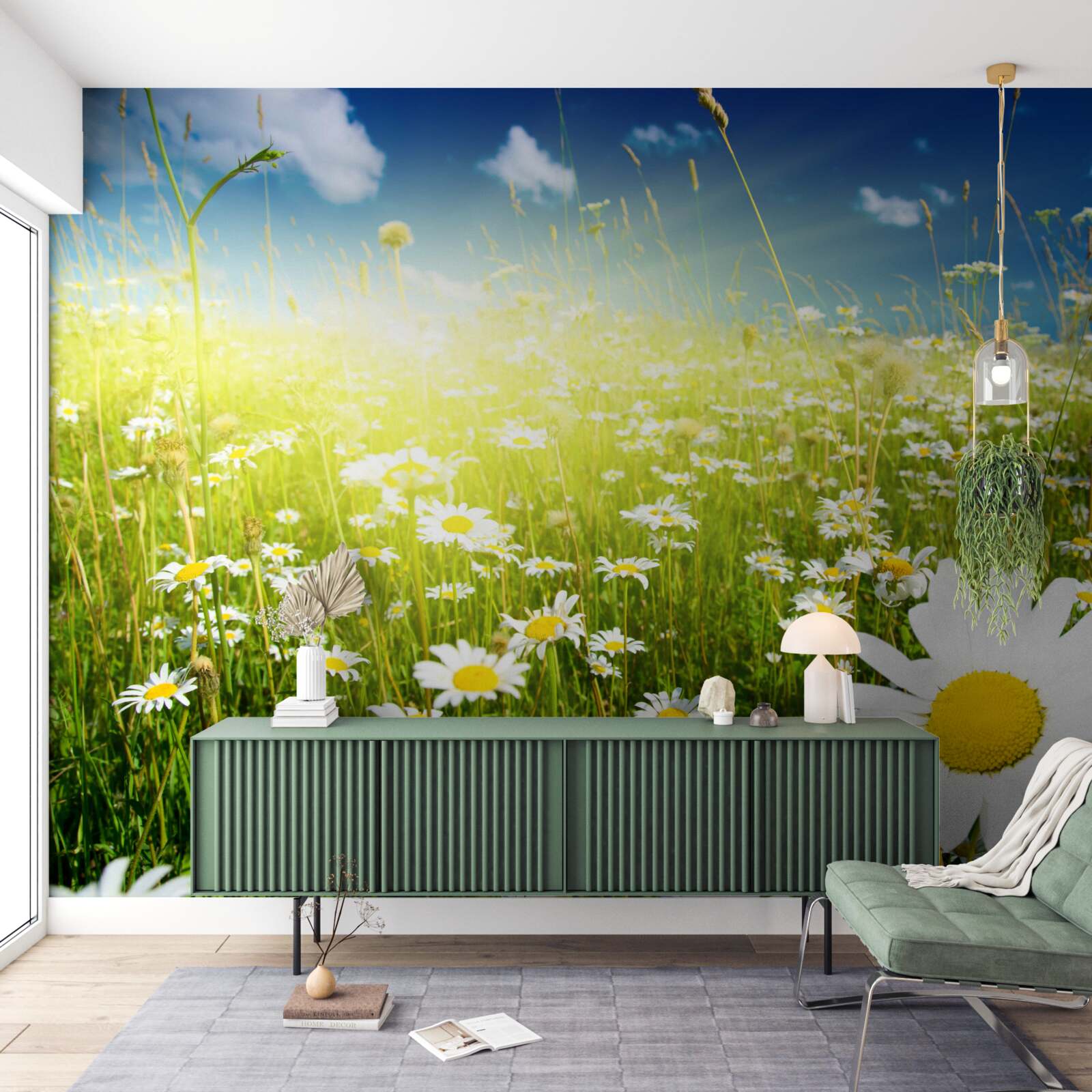 Fotobehang een weide bedekt met madeliefjes bij dageraad