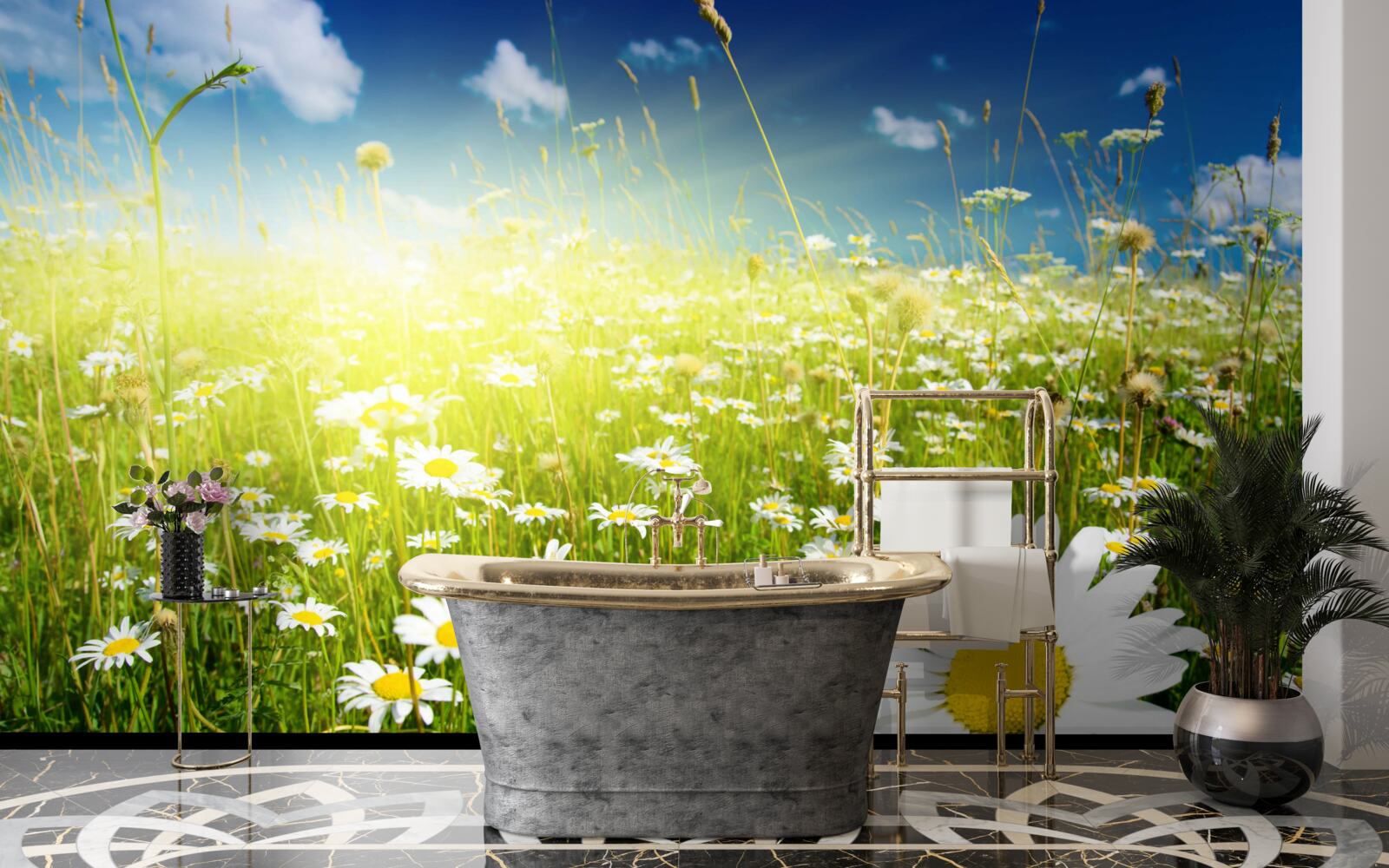 Fotobehang een weide bedekt met madeliefjes bij dageraad