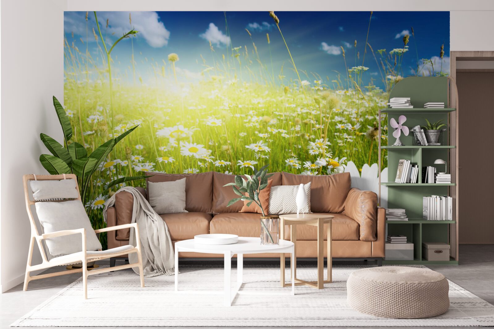 Fotobehang een weide bedekt met madeliefjes bij dageraad