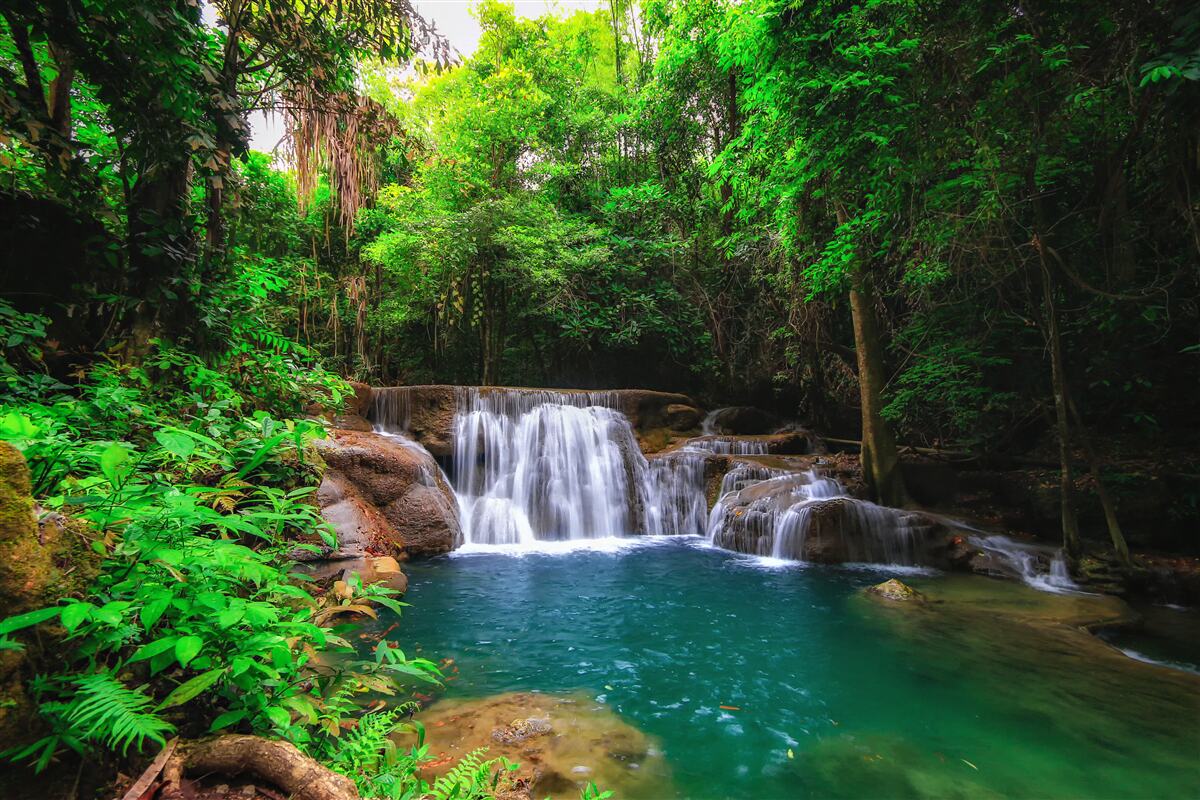 Fotobehang een verborgen waterval in de diepte van een groen bos