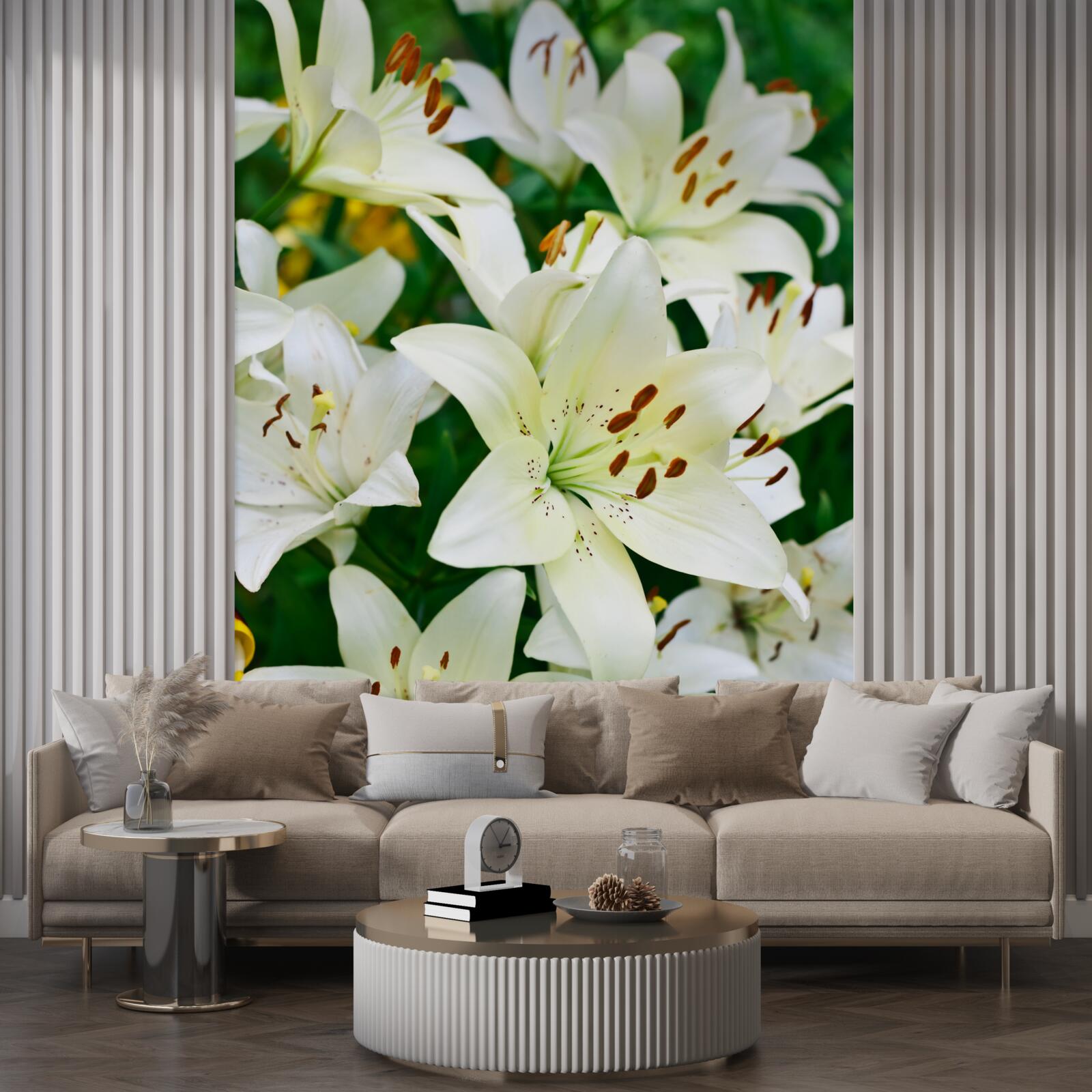 Fotobehang grote knoppen van witte lelie