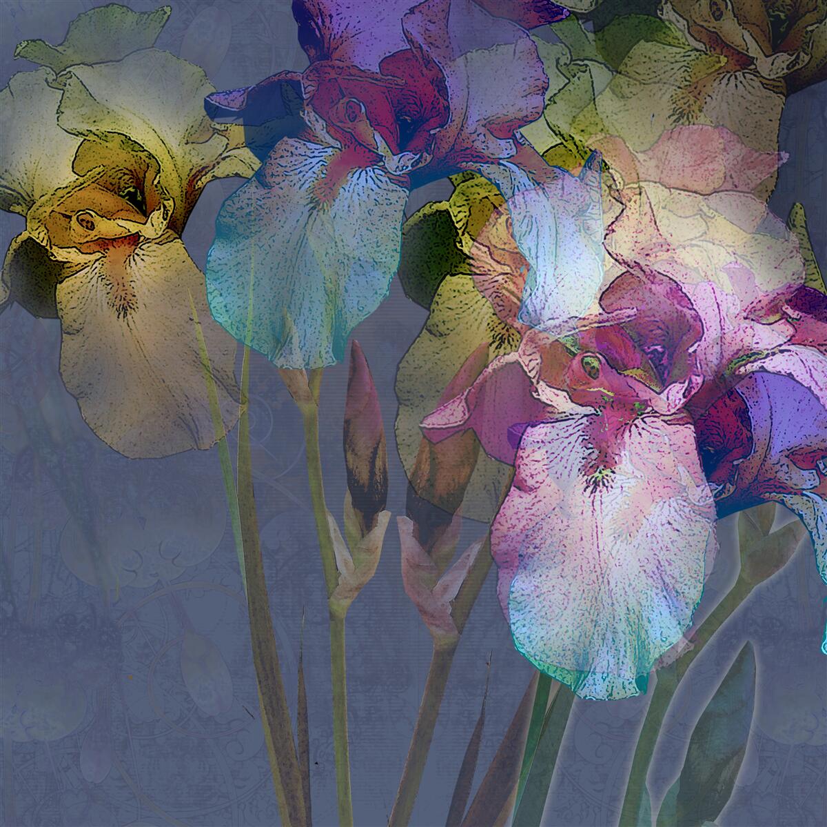 Fotobehang nachtelijke sfeer te midden van tropisch gebladerte