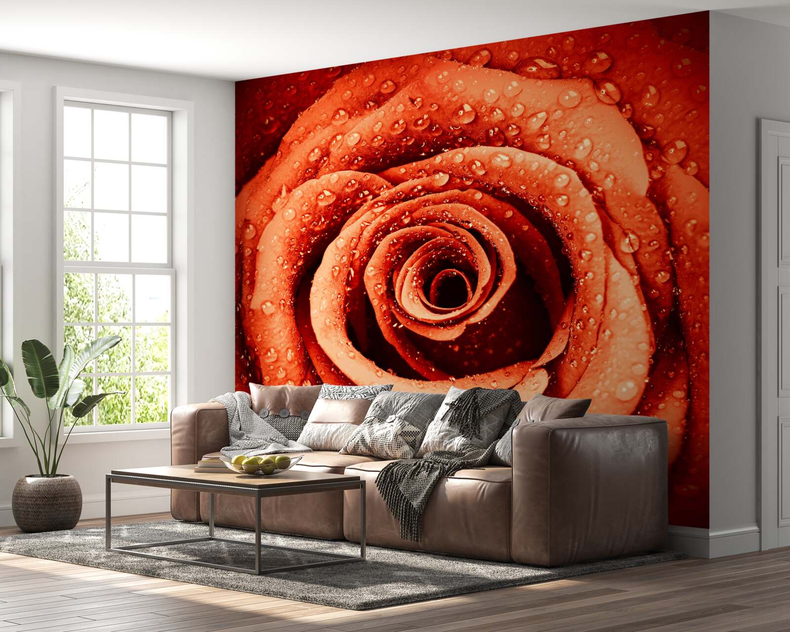 Fotobehang dauwdruppels op een scharlaken rozenblaadje