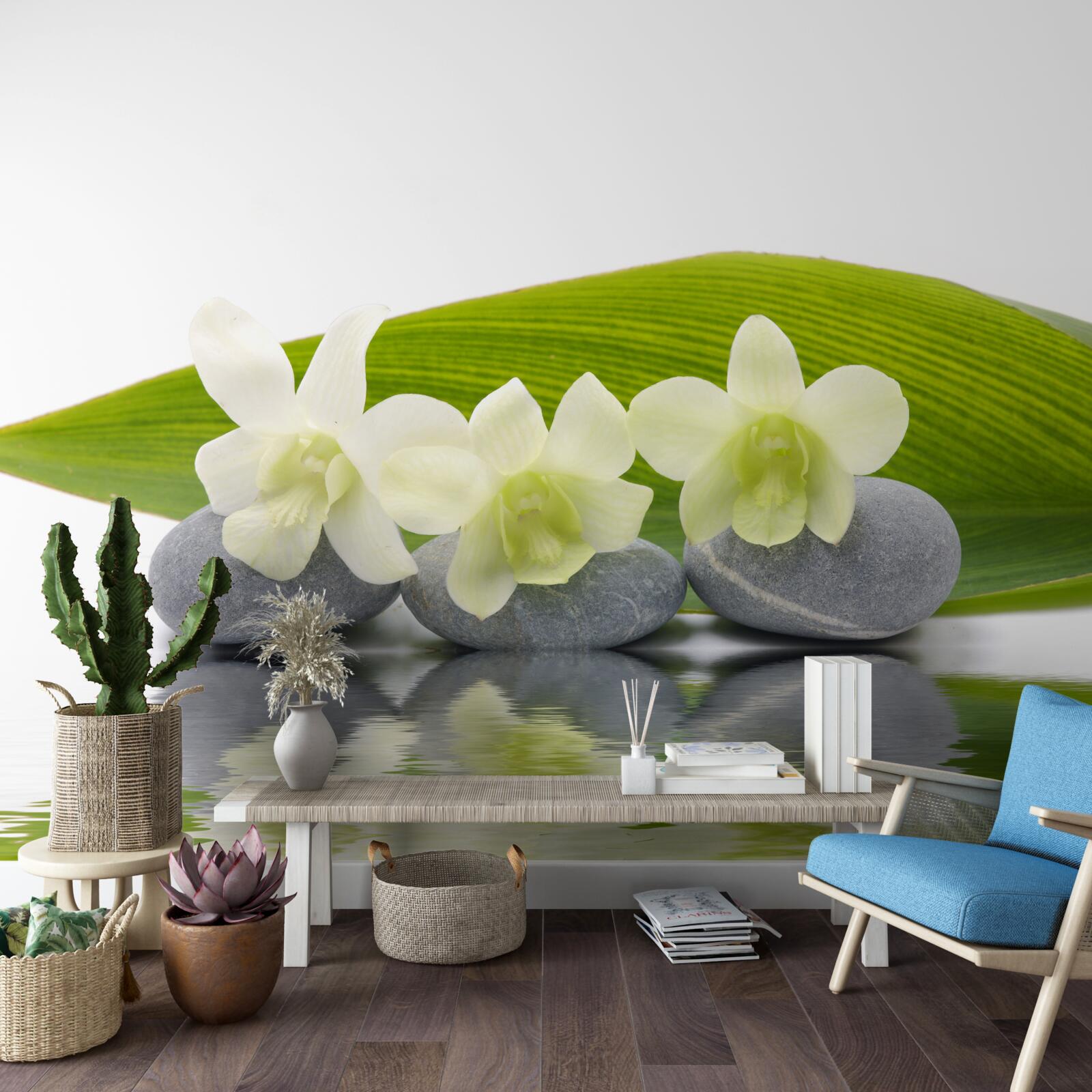 Fotobehang lijn op het wateroppervlak