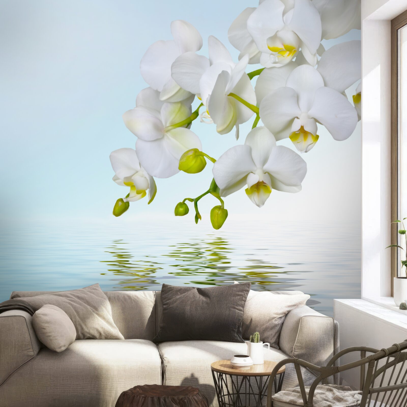 Fotobehang witte orchideeëntak bij rustig water