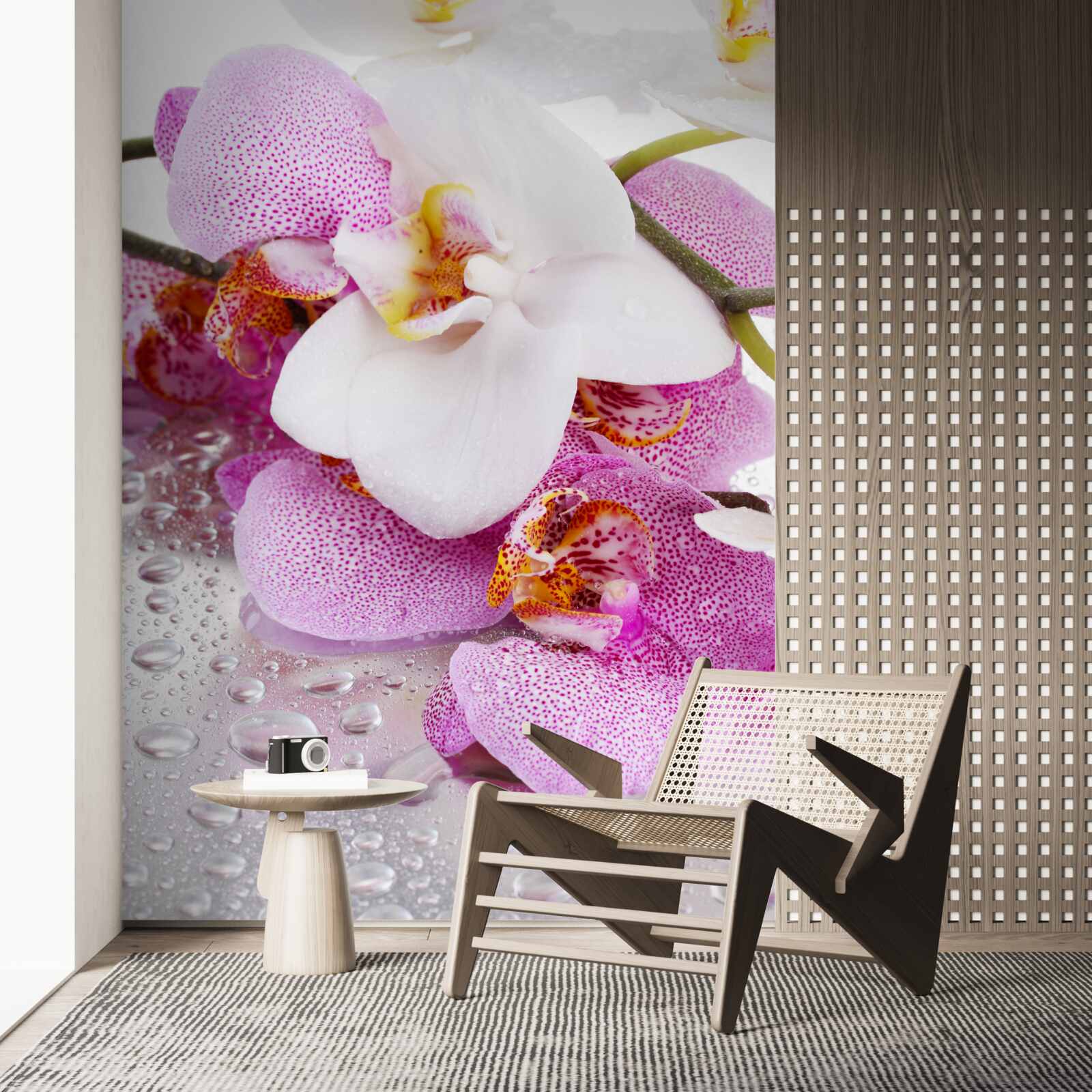 Fotobehang orchideeën met witte en roze bloemblaadjes