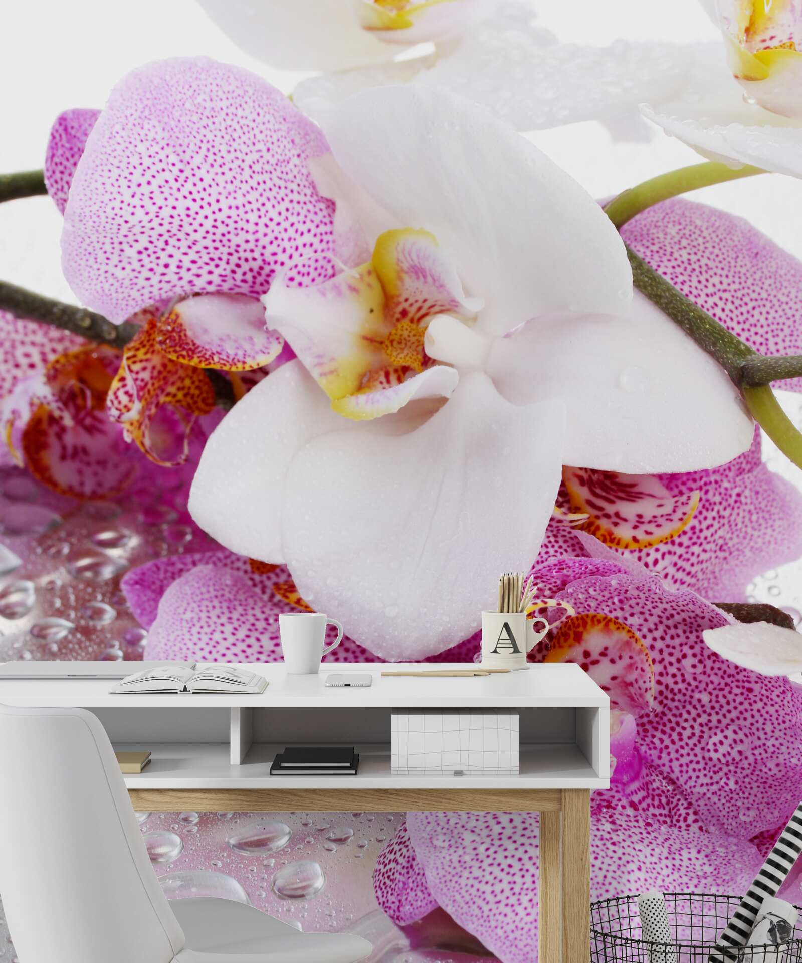 Fotobehang orchideeën met witte en roze bloemblaadjes