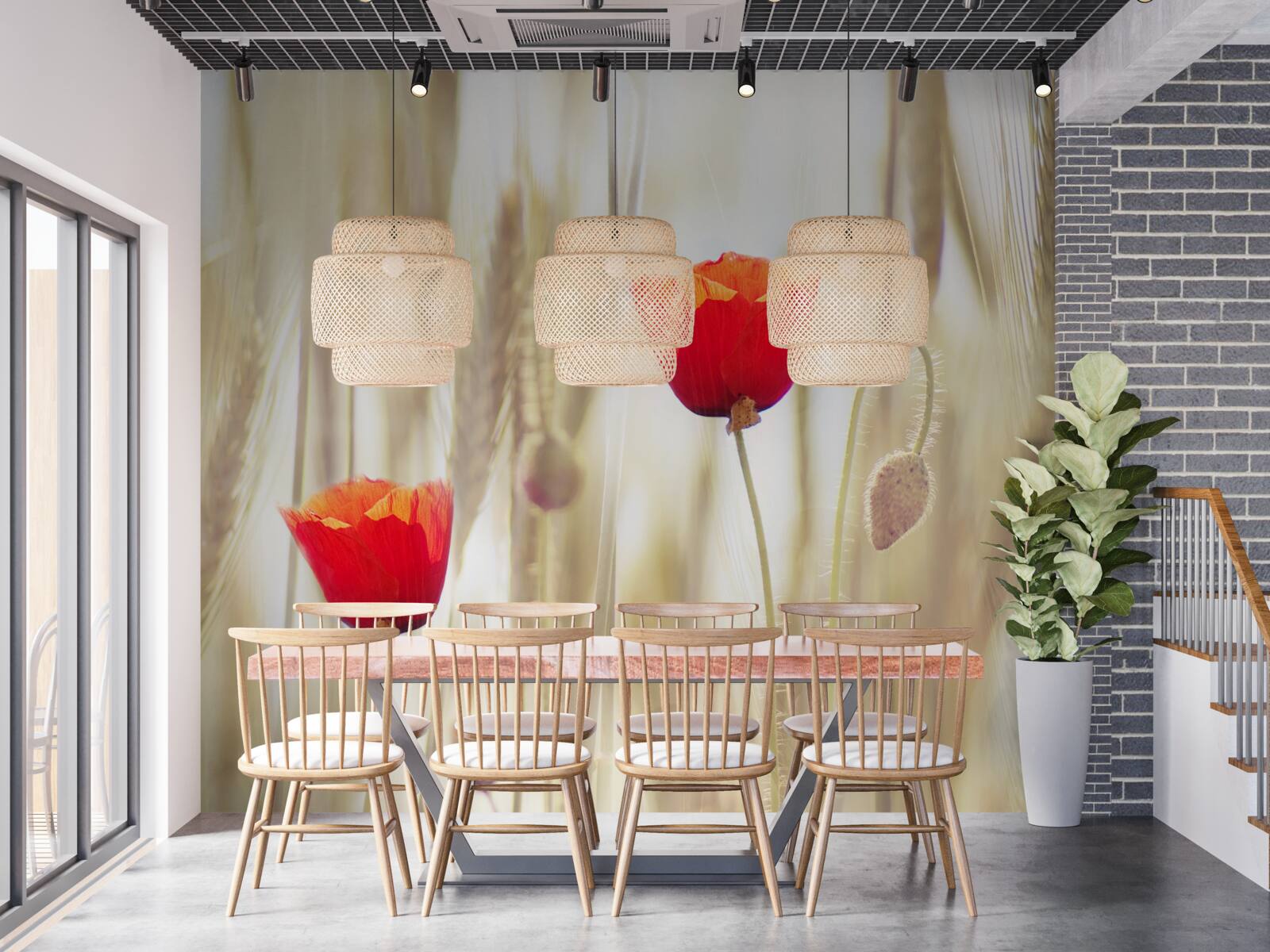 Fotobehang Scharlaken klaprozen groeien in een tarweveld