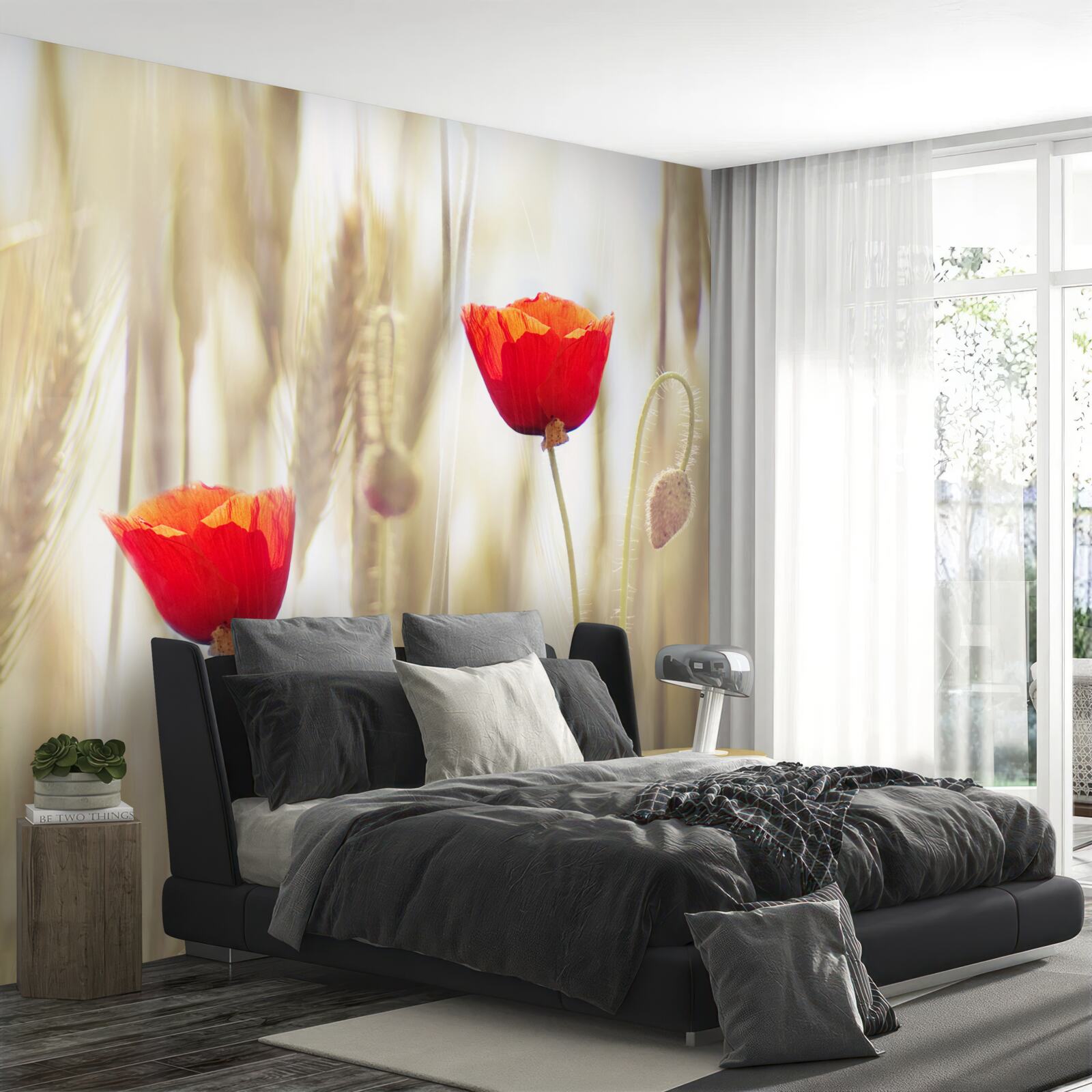 Fotobehang Scharlaken klaprozen groeien in een tarweveld