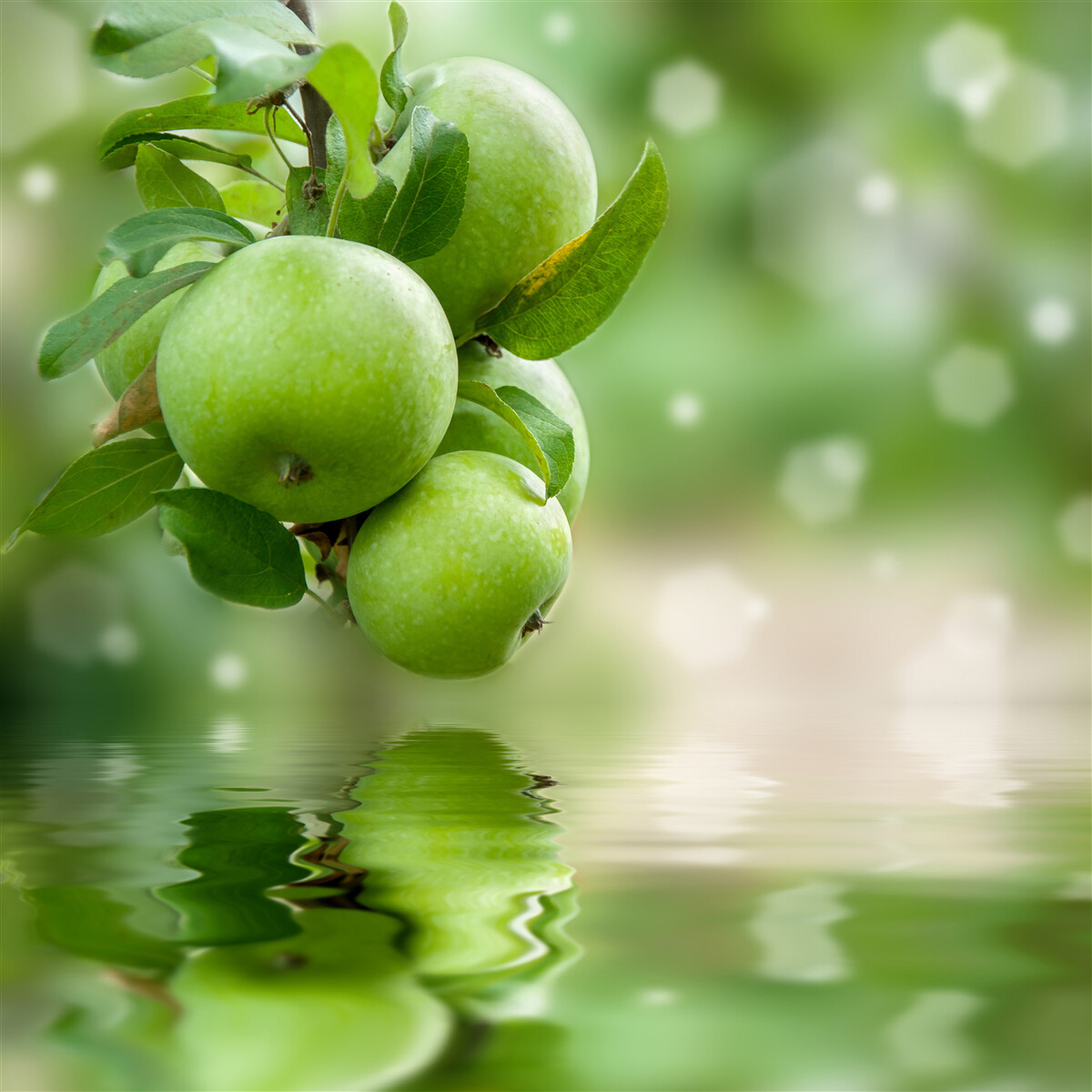 Fotobehang groene appels weerspiegeld in water