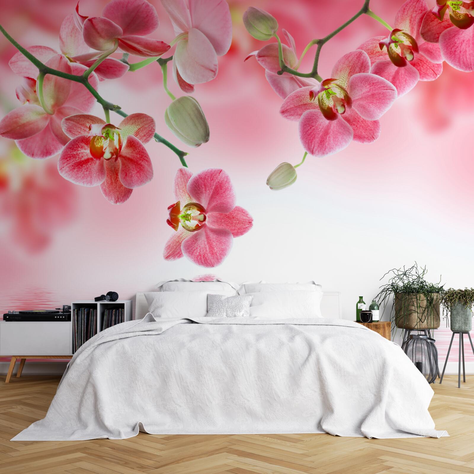 Fotobehang een rode orchidee hangt aan een boom boven het water